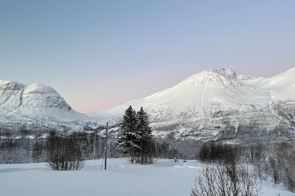Mountainside Lodge - Breivikeidet Tromsø Exterior foto