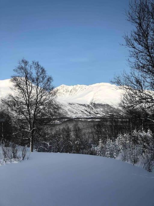Mountainside Lodge - Breivikeidet Tromsø Exterior foto