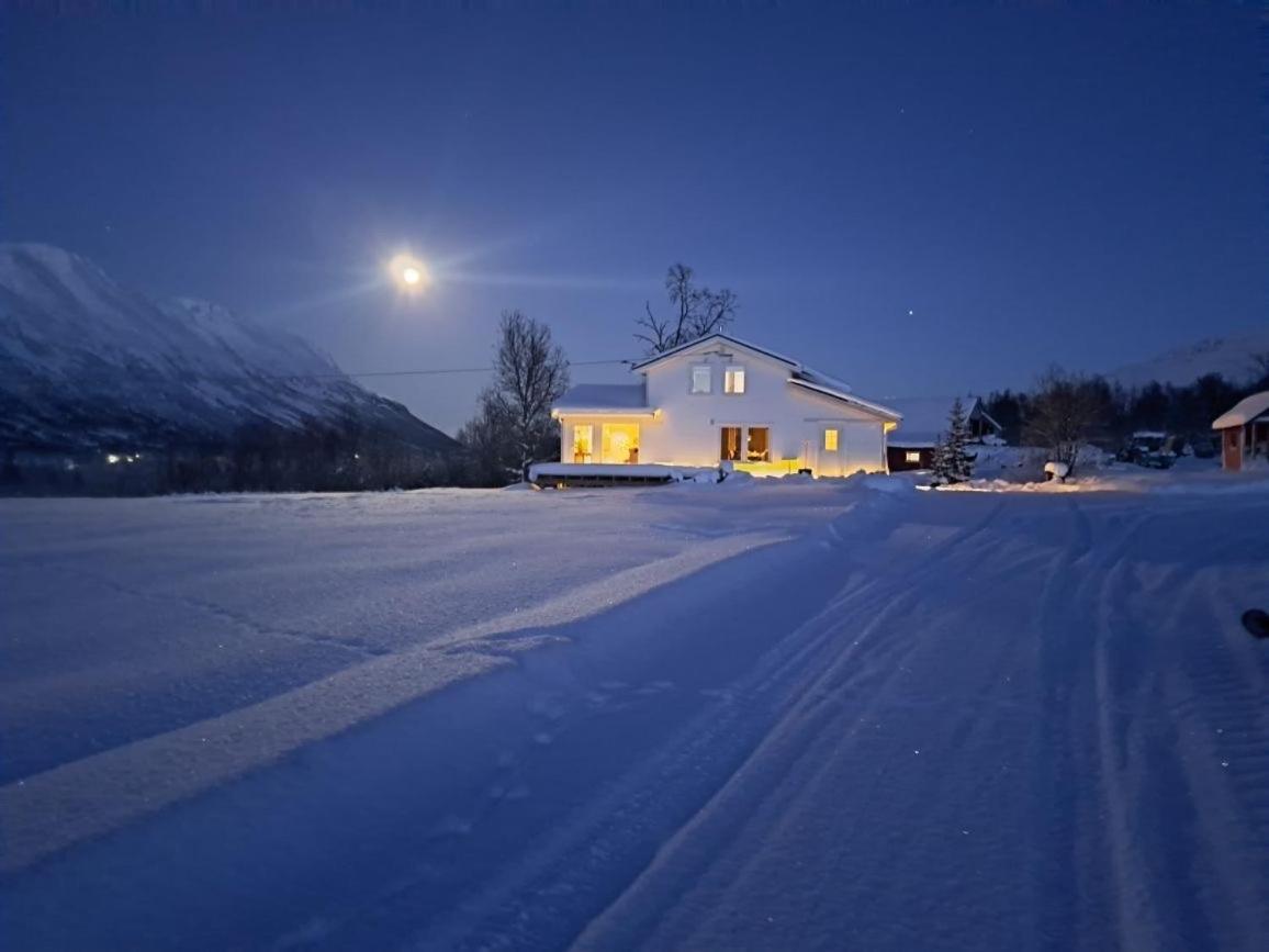 Mountainside Lodge - Breivikeidet Tromsø Exterior foto